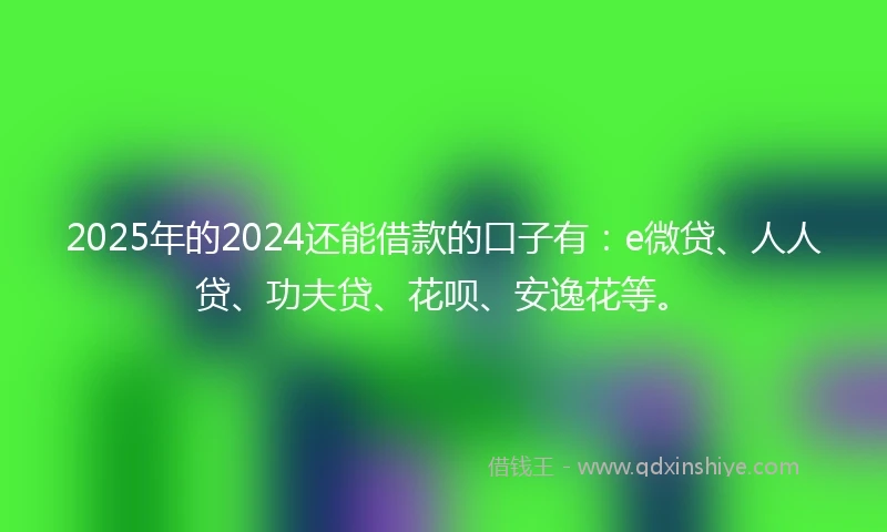 2025年的2024还能借款的口子有：e微贷、人人贷、功夫贷、花呗、安逸花等。