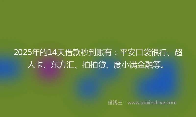 2025年的14天借款秒到账有：平安口袋银行、超人卡、东方汇、拍拍贷、度小满金融等。