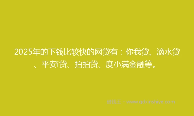 2025年的下钱比较快的网贷有：你我贷、滴水贷、平安i贷、拍拍贷、度小满金融等。