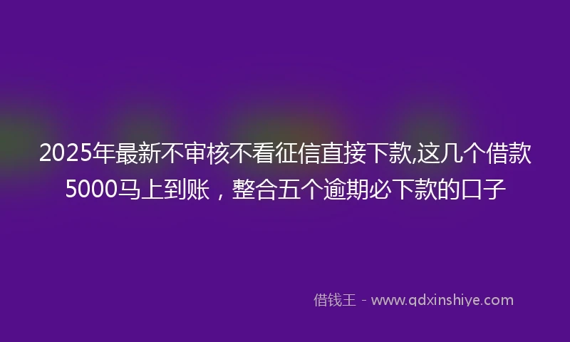2025年最新不审核不看征信直接下款,这几个借款5000马上到账，整合五个逾期必下款的口子