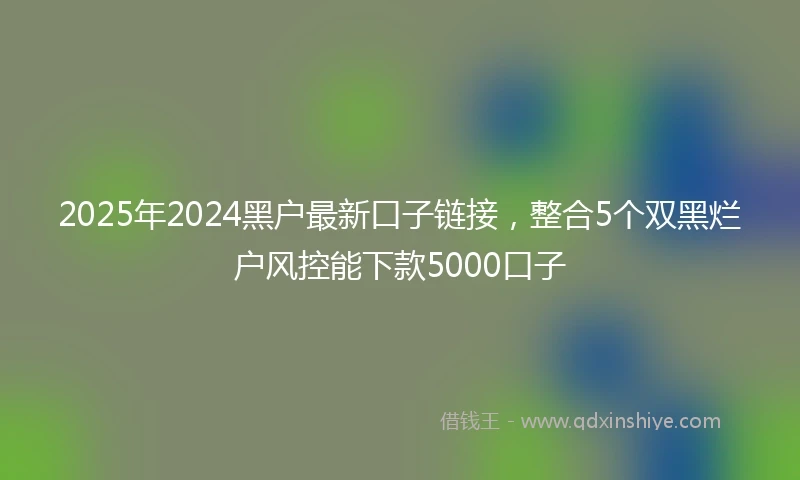 2025年2024黑户最新口子链接，整合5个双黑烂户风控能下款5000口子