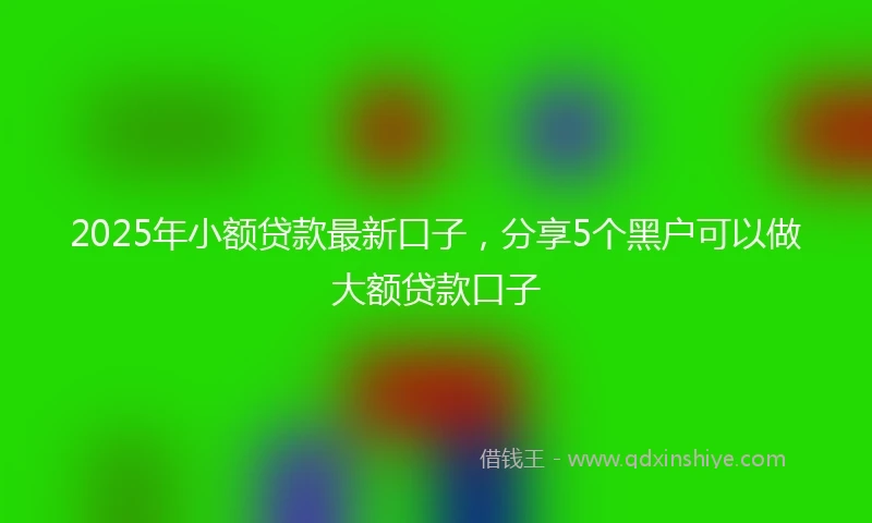 2025年小额贷款最新口子，分享5个黑户可以做大额贷款口子
