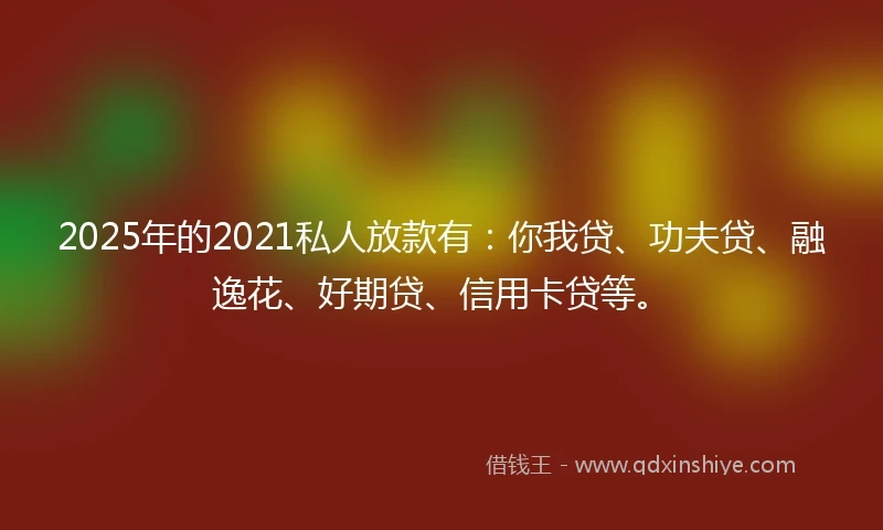 2025年的2021私人放款有：你我贷、功夫贷、融逸花、好期贷、信用卡贷等。
