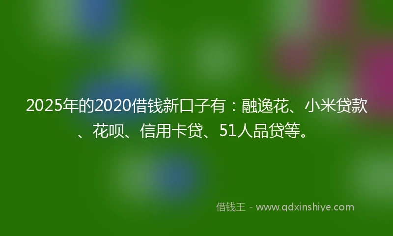 2025年的2020借钱新口子有：融逸花、小米贷款、花呗、信用卡贷、51人品贷等。