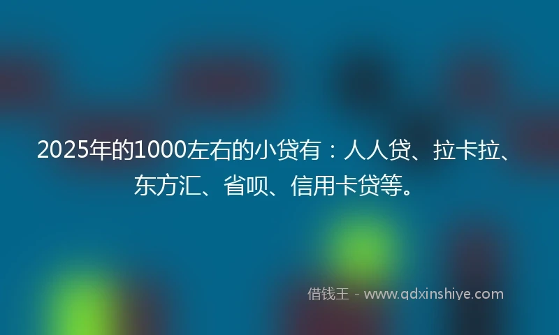 2025年的1000左右的小贷有：人人贷、拉卡拉、东方汇、省呗、信用卡贷等。