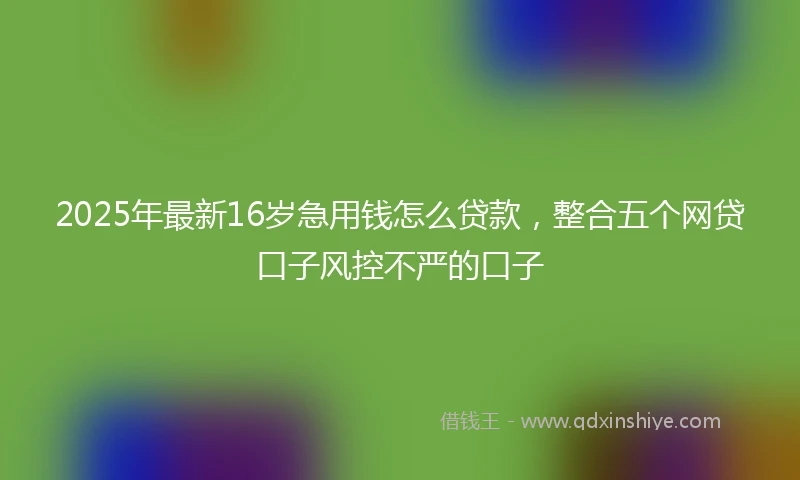 2025年最新16岁急用钱怎么贷款，整合五个网贷口子风控不严的口子