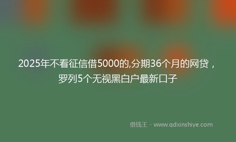 2025年不看征信借5000的,分期36个月的网贷，罗列5个无视黑白户最新口子