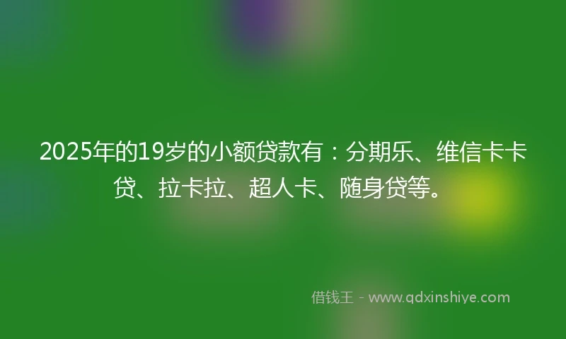 2025年的19岁的小额贷款有：分期乐、维信卡卡贷、拉卡拉、超人卡、随身贷等。