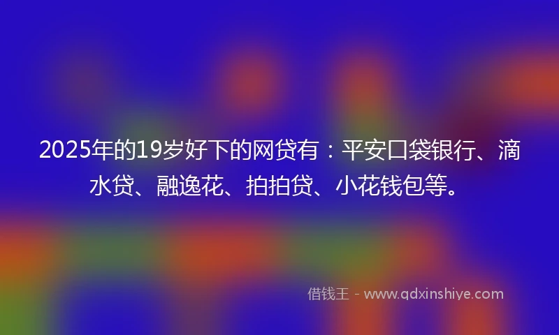 2025年的19岁好下的网贷有：平安口袋银行、滴水贷、融逸花、拍拍贷、小花钱包等。