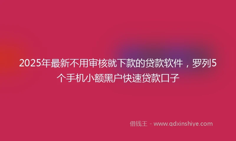 2025年最新不用审核就下款的贷款软件，罗列5个手机小额黑户快速贷款口子