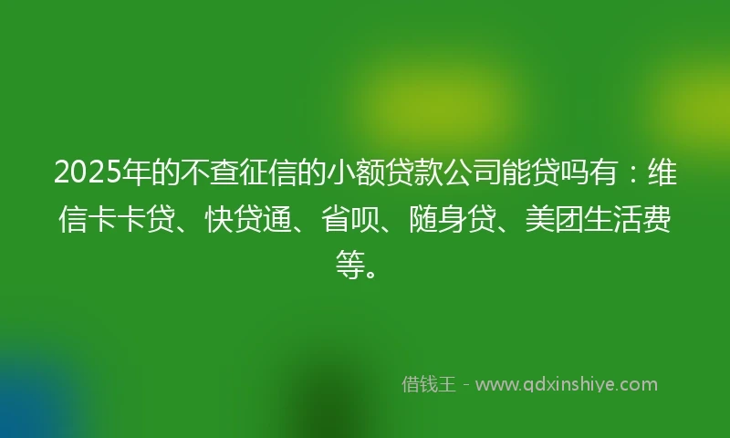 2025年的不查征信的小额贷款公司能贷吗有：维信卡卡贷、快贷通、省呗、随身贷、美团生活费等。