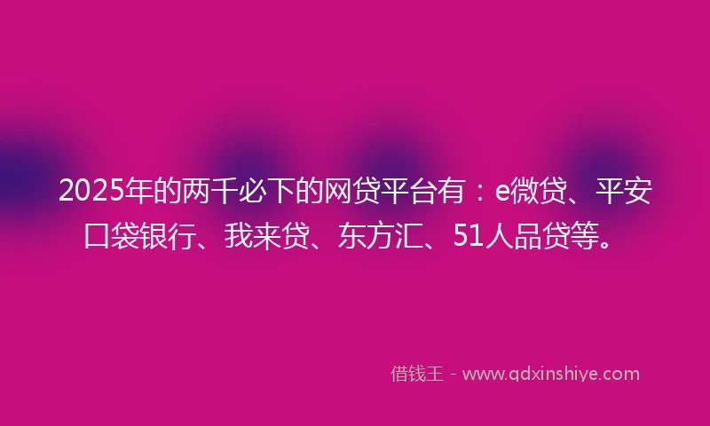 2025年的两千必下的网贷平台有：e微贷、平安口袋银行、我来贷、东方汇、51人品贷等。
