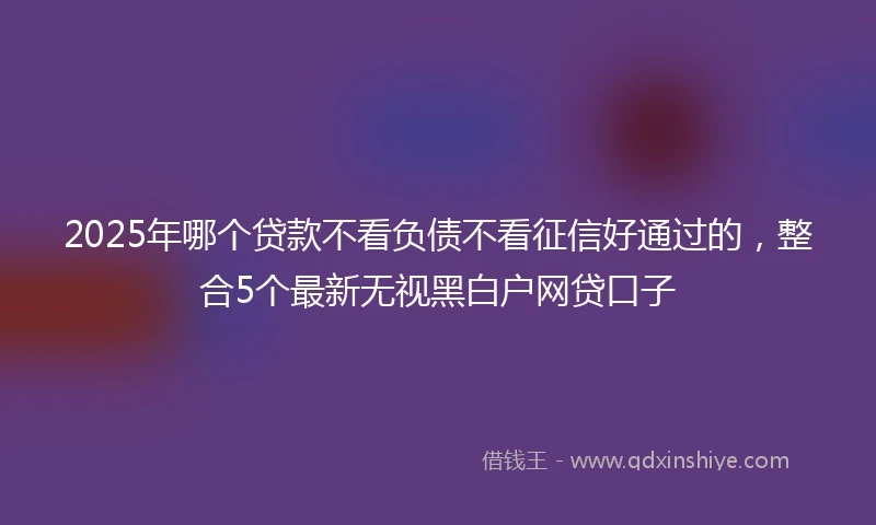 2025年哪个贷款不看负债不看征信好通过的，整合5个最新无视黑白户网贷口子