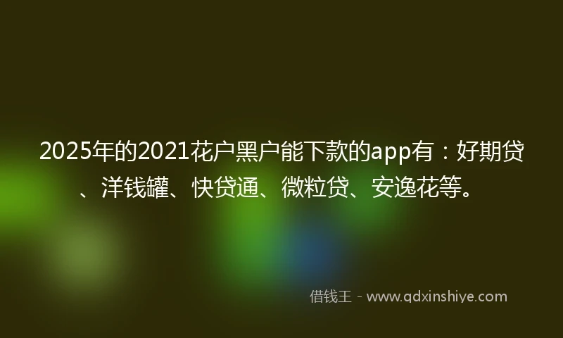 2025年的2021花户黑户能下款的app有：好期贷、洋钱罐、快贷通、微粒贷、安逸花等。