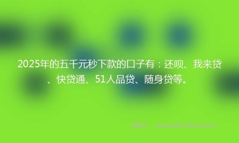 2025年的五千元秒下款的口子有：还呗、我来贷、快贷通、51人品贷、随身贷等。