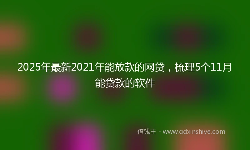 2025年最新2021年能放款的网贷，梳理5个11月能贷款的软件
