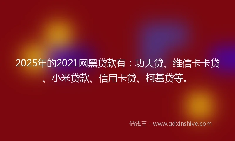 2025年的2021网黑贷款有：功夫贷、维信卡卡贷、小米贷款、信用卡贷、柯基贷等。