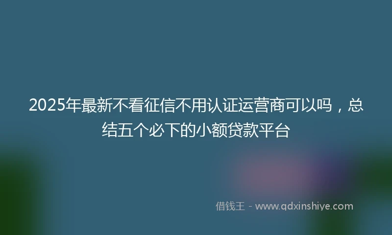 2025年最新不看征信不用认证运营商可以吗，总结五个必下的小额贷款平台