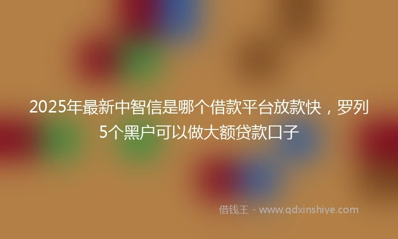2025年最新中智信是哪个借款平台放款快，罗列5个黑户可以做大额贷款口子