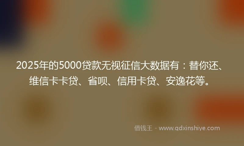 2025年的5000贷款无视征信大数据有：替你还、维信卡卡贷、省呗、信用卡贷、安逸花等。