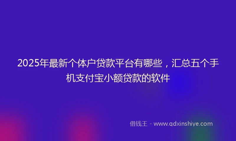 2025年最新个体户贷款平台有哪些，汇总五个手机支付宝小额贷款的软件
