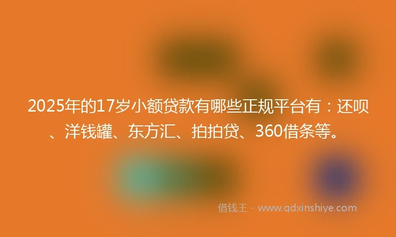 2025年的17岁小额贷款有哪些正规平台有：还呗、洋钱罐、东方汇、拍拍贷、360借条等。