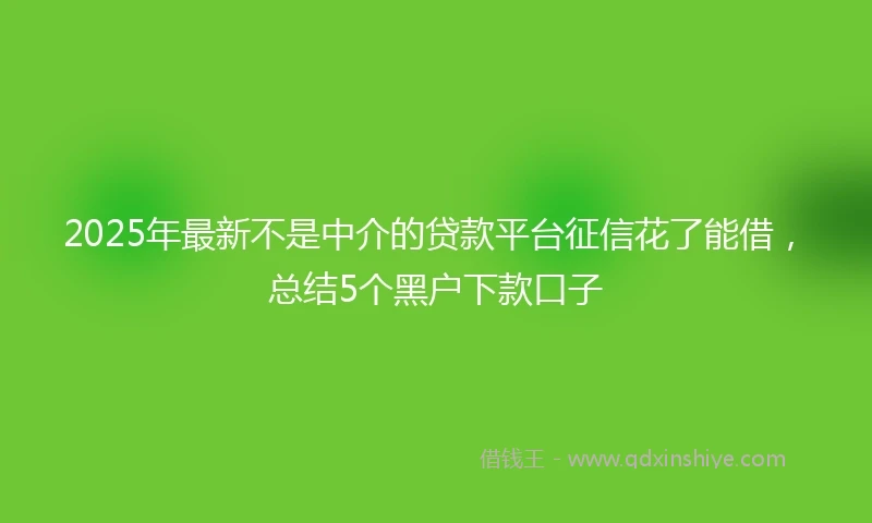 2025年最新不是中介的贷款平台征信花了能借，总结5个黑户下款口子