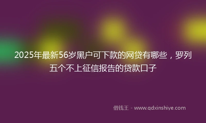 2025年最新56岁黑户可下款的网贷有哪些，罗列五个不上征信报告的贷款口子