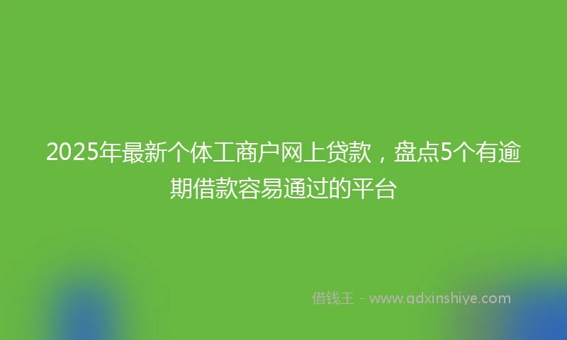 2025年最新个体工商户网上贷款，盘点5个有逾期借款容易通过的平台