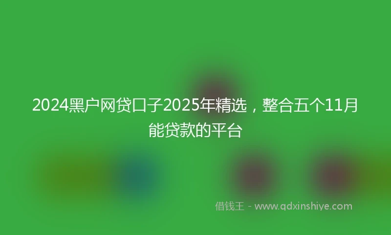 2024黑户网贷口子2025年精选，整合五个11月能贷款的平台