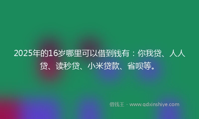 2025年的16岁哪里可以借到钱有：你我贷、人人贷、读秒贷、小米贷款、省呗等。