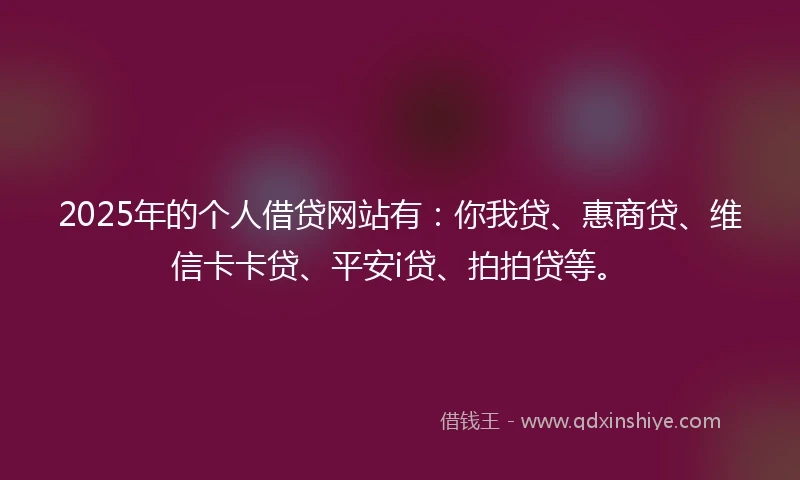 2025年的个人借贷网站有：你我贷、惠商贷、维信卡卡贷、平安i贷、拍拍贷等。