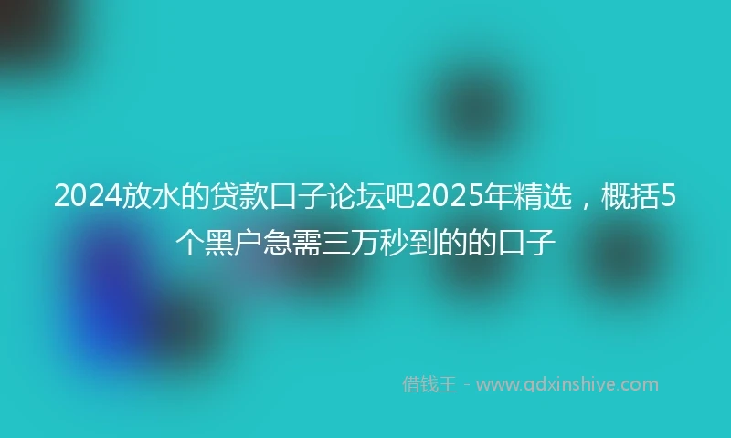 2024放水的贷款口子论坛吧2025年精选，概括5个黑户急需三万秒到的的口子