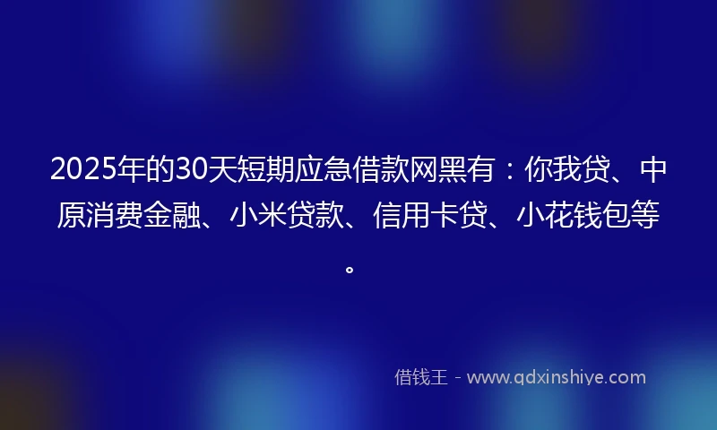 2025年的30天短期应急借款网黑有：你我贷、中原消费金融、小米贷款、信用卡贷、小花钱包等。