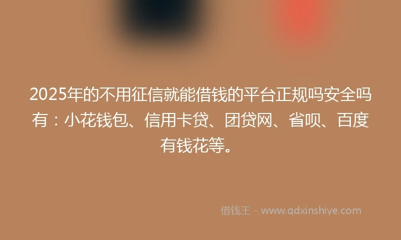 2025年的不用征信就能借钱的平台正规吗安全吗有：小花钱包、信用卡贷、团贷网、省呗、百度有钱花等。