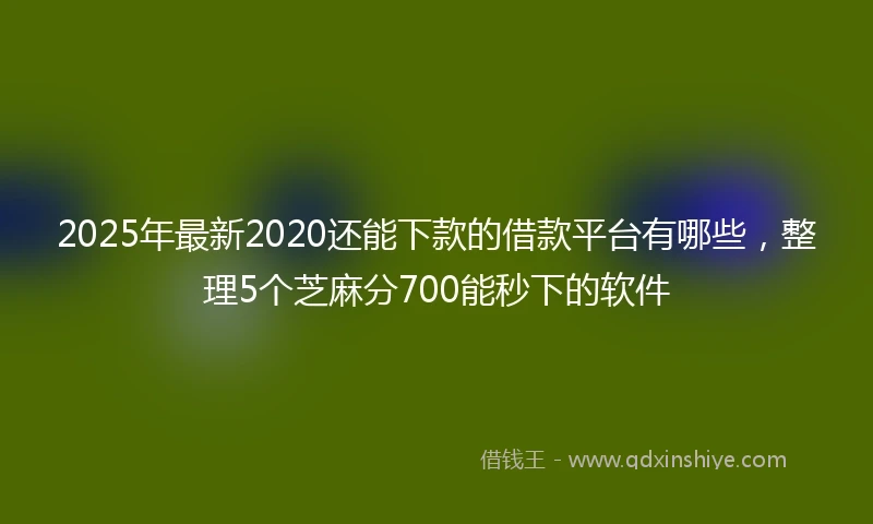 2025年最新2020还能下款的借款平台有哪些，整理5个芝麻分700能秒下的软件