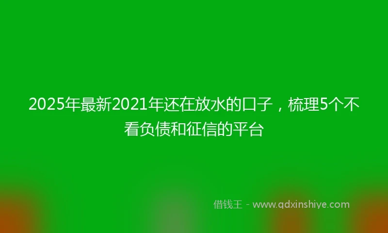 2025年最新2021年还在放水的口子，梳理5个不看负债和征信的平台