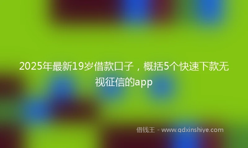 2025年最新19岁借款口子，概括5个快速下款无视征信的app