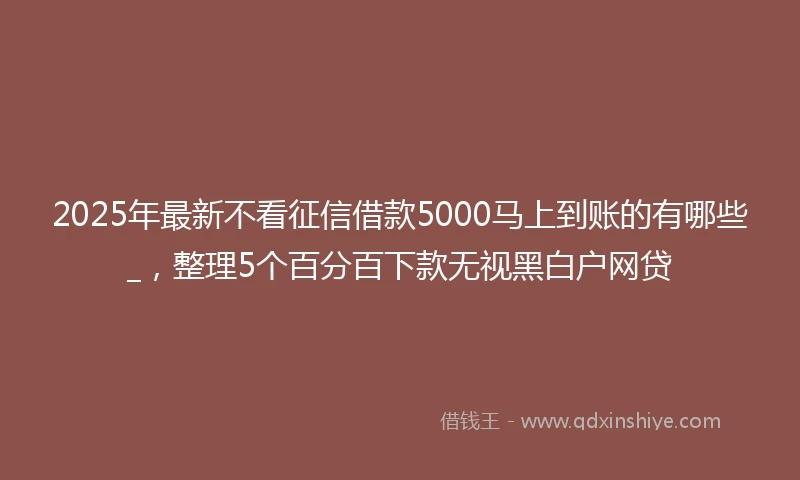 2025年最新不看征信借款5000马上到账的有哪些_，整理5个百分百下款无视黑白户网贷