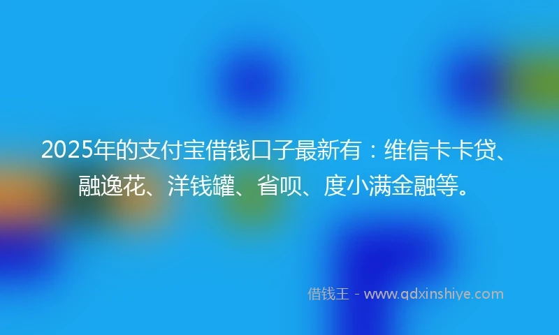 2025年的支付宝借钱口子最新有：维信卡卡贷、融逸花、洋钱罐、省呗、度小满金融等。