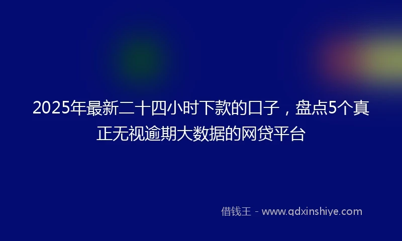 2025年最新二十四小时下款的口子，盘点5个真正无视逾期大数据的网贷平台