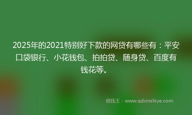 2025年的2021特别好下款的网贷有哪些有：平安口袋银行、小花钱包、拍拍贷、随身贷、百度有钱花等。