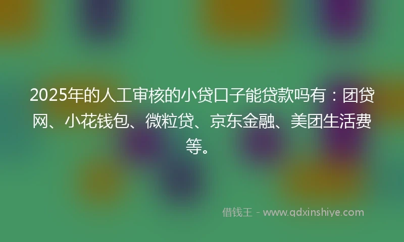 2025年的人工审核的小贷口子能贷款吗有：团贷网、小花钱包、微粒贷、京东金融、美团生活费等。