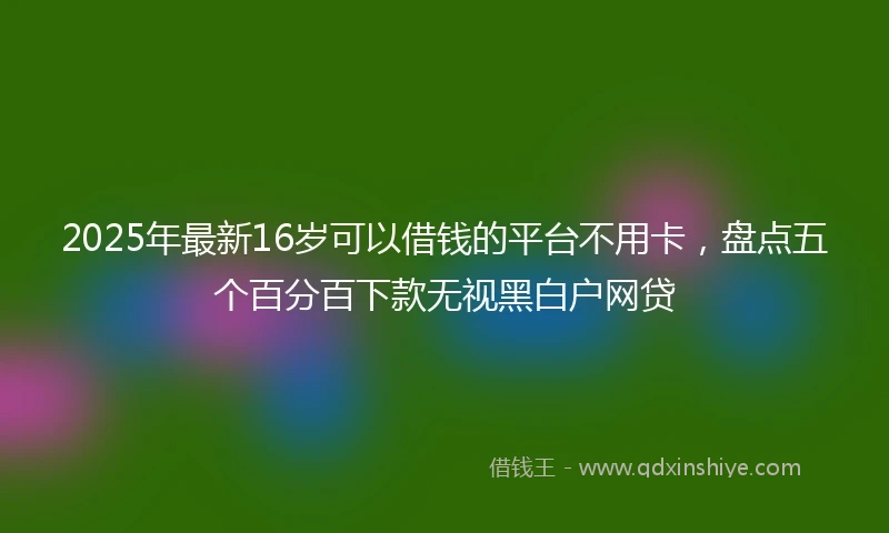2025年最新16岁可以借钱的平台不用卡，盘点五个百分百下款无视黑白户网贷