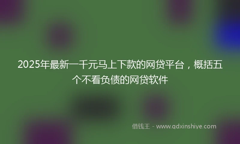 2025年最新一千元马上下款的网贷平台，概括五个不看负债的网贷软件