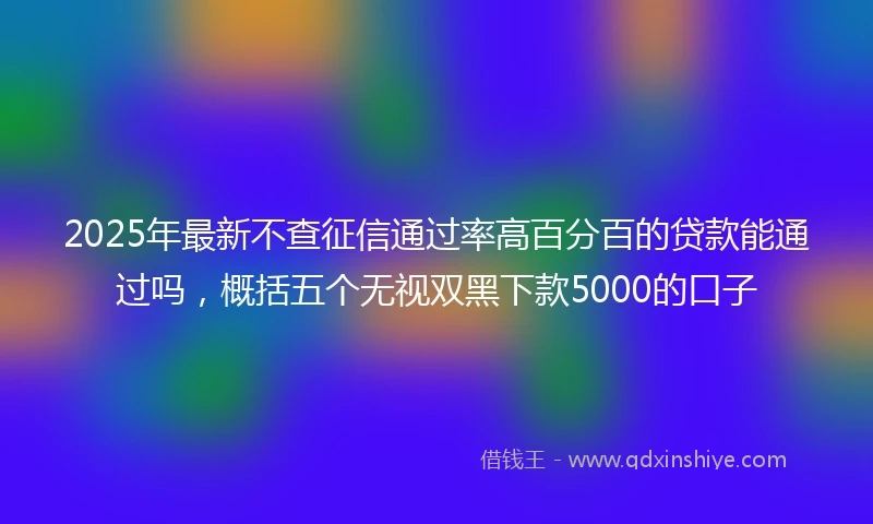 2025年最新不查征信通过率高百分百的贷款能通过吗，概括五个无视双黑下款5000的口子
