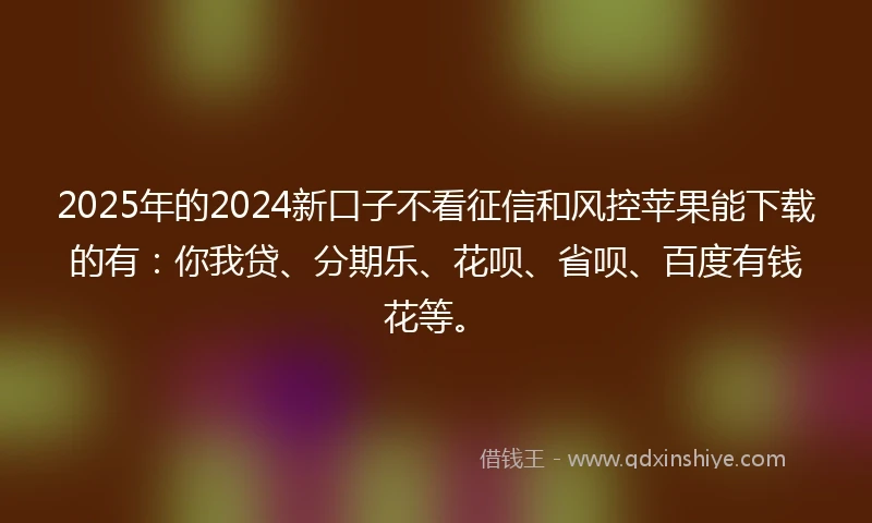 2025年的2024新口子不看征信和风控苹果能下载的有：你我贷、分期乐、花呗、省呗、百度有钱花等。