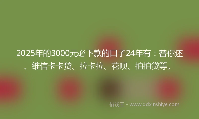 2025年的3000元必下款的口子24年有：替你还、维信卡卡贷、拉卡拉、花呗、拍拍贷等。