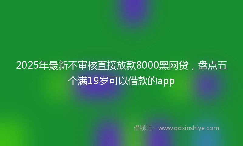 2025年最新不审核直接放款8000黑网贷，盘点五个满19岁可以借款的app