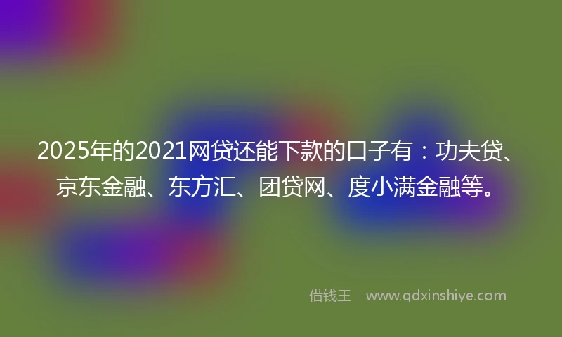 2025年的2021网贷还能下款的口子有：功夫贷、京东金融、东方汇、团贷网、度小满金融等。